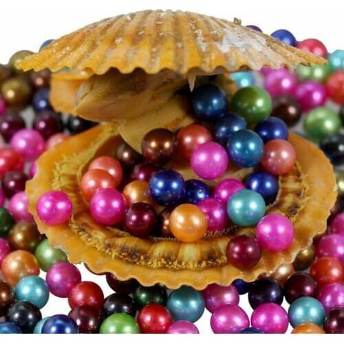 Hot sale 2018 Party Fun saltwater scallop round Pearls Vacuum Packaging Real Natural multicolor Pearl Gift for girls RR019