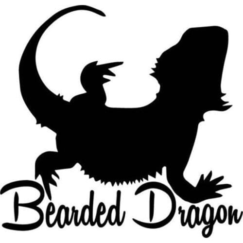 12cm*12cm Funny Bearded Dragon Decor Car Stickers Bumper Car Window Vinyl Waterproof Decal Personalized Car Decoration
