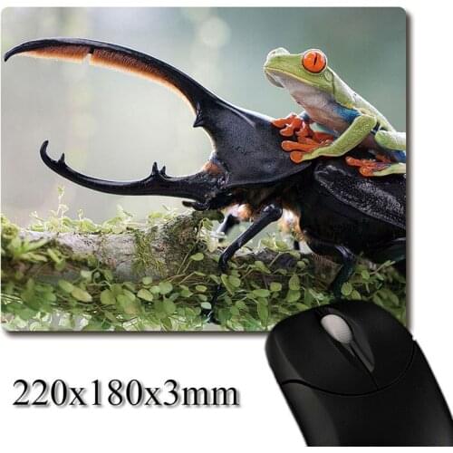 Tree frog knight riding on dynastes big beetle printed Heavy weaving anti-slip rubber pad office mouse pad Coaster Party favor