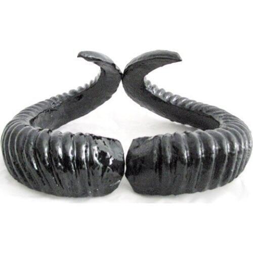 Free shipping sheep horn