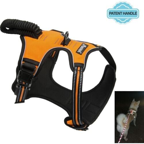 Pet Accessories Husky Alaska Harness Vest With Leash Dog Rope Chest Strap Adjustable Mesh Strap Reflective Medium And Large Dogs