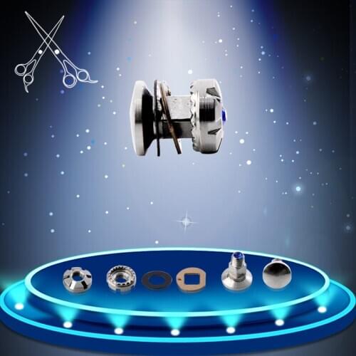 10 sets Barber Screws for Hair Scissor repair Screws Hairdresser Barber Accessories Vis Palier Tornillo De Rodamiento Screws