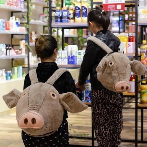 HXLPAICCH School Backpacks For Girls