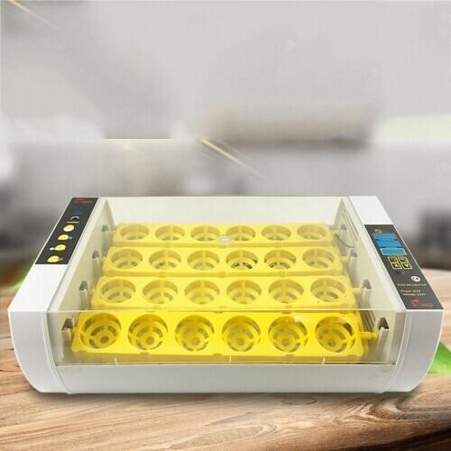 Temperature Control Digital Automatic Chicken Chick Hatcher Egg Incubator Hatcher Chicken Egg Incubator 220V 24 Egg Incubator