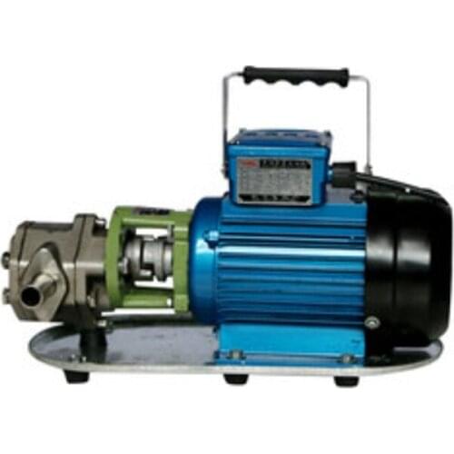 Power Stainless Steel WCB-50 Mini-Gear Oil Pump 220/380v