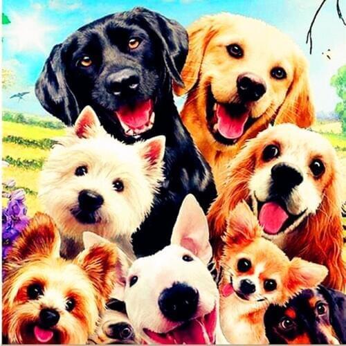 5D DIY Diamond Embroidery Dogs flowers Customization Full Square Diamond Painting Cross Stitch Mosaic Decor
