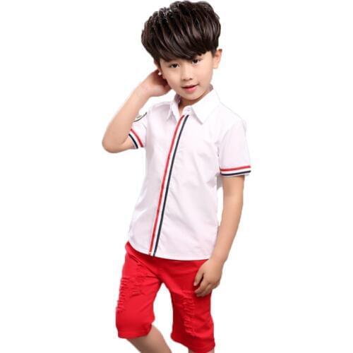 Baby Boys Summer Hawaii Clothing Sets Childrens T Shirts + Shorts 2pcs Suits Bow Pants Sports Kids Formal Cutomes Clothes