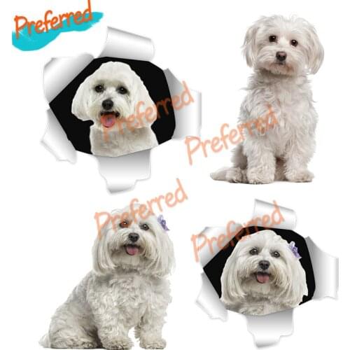 Interesting Decals Exterior Accessories Maltese Dog Malta Puppy for Opel Decal Cute Stickers Custom Car Sticker Decoration