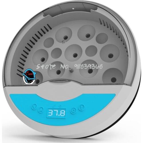 Incubator Small Household Chicken Duck Bird Egg Crawling Pet Incubator Mini Automatic Constant Temperature Incubator 9