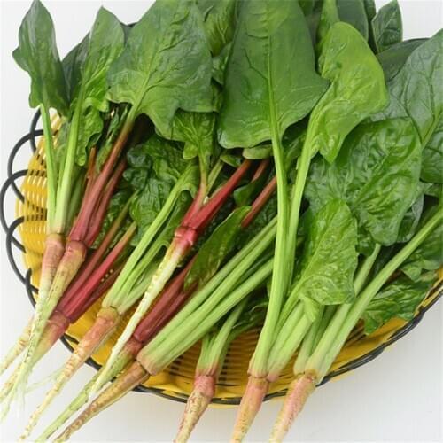 Fake spinach spinage artificial vegetables hotel dining room hall restaurant Kitchen decoration Simulation vegetables model