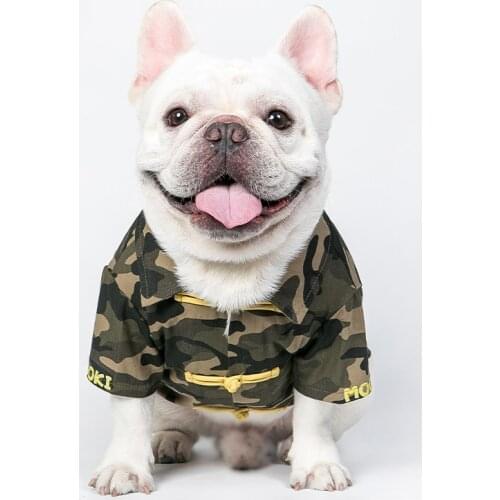 Things For Dogs Cat Clothing Pets T-shirts Chihuahua French Bulldog Corgi Bichon Maltes Sweater Winter Cute Hooded Sweatshirts