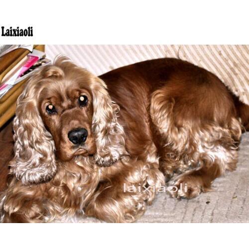 Handicrafts 5D DIY Diamond Painting Cross Stitch British cocker spaniel Diamond Embroidery pet dog Full Drill Diamond Mosaic