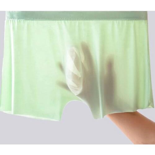 Ultra-thin Mesh Underwear Man Transparent Boxers Ice Silk Seamless Panties Man Sexy Boxer Shorts Male Cool Breathable Underpant