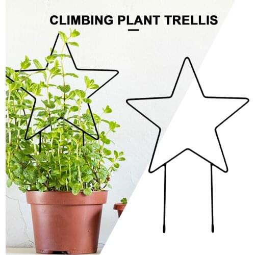 Plant Trellis Potted Plant Support Frame For Climbing Plants For Climbing Plants Flower Vegetables Rose Plant Holder