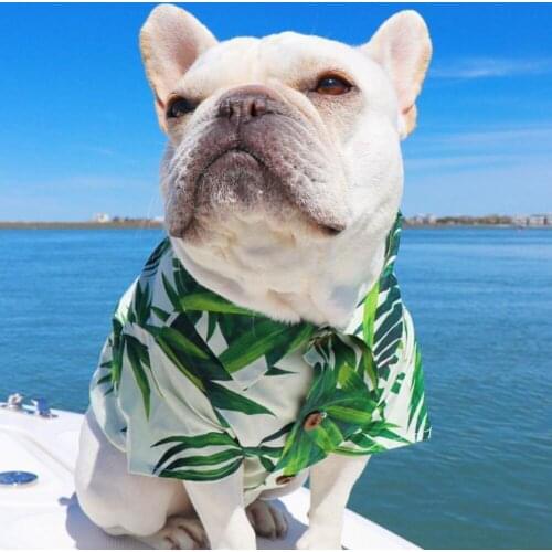 Hawaiian Shirt French Bulldog Dog Hoodie Pet Clothes Cotton Fashion Outfit for Dogs Cats Puppy Vacation Seaside Dog Clothes