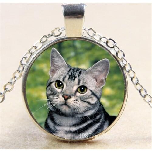 Cat Animal Photo Cabochon Glass Chain Necklace,Charm Creative Women Pendants Fashion Jewelry Accessory,Friend Gifts