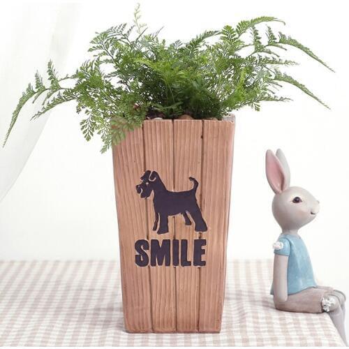 Creative personality European simple fleshy pot desktop Home Furnishing decor decoration mini landscape