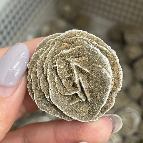 Natural Moroccan Desert Rose Raw Stone Mineral Specimen Collection Home Decoration