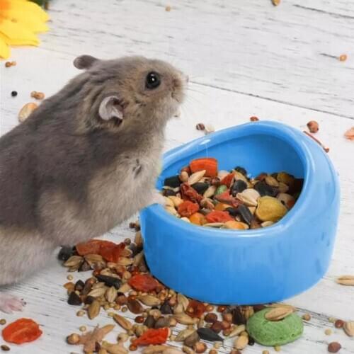 Small Pet Hamster Little Hedgehog Feeder Ceramic Bowls Golden Hamster Feeding Water Food Bowl Pet supplies