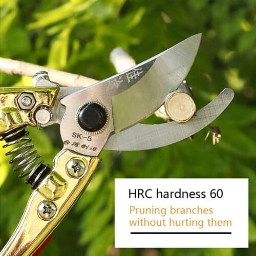 Non-slip Pruning Shears Garden Fruit Tree Pruning Gardening Tools Labor-saving Branch Shears Garden Trimmers Secateurs Garden