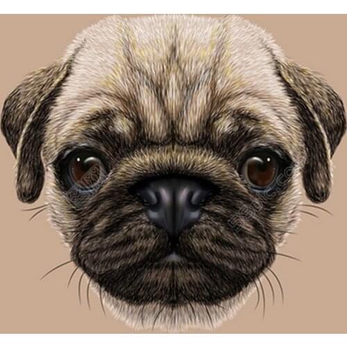 Puppy Dog Cat Hoodie Sweatshirt Winter Pet Clothes for Small Dogs French Bulldog Pug Coat Jacket Dogs Pets Clothing Suit B984