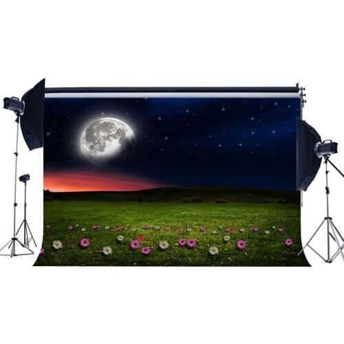 Fairytale Spring Backdrop Enchanted Garden Twinkle Starry Moon Night Backdrops Fresh Flowers Background
