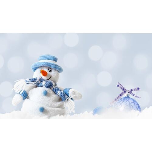 Winter Snowman Flare Bokeh photography Backdrops Vinyl Cloth Background for Baby Children Photobooth Photophone Photoshooting