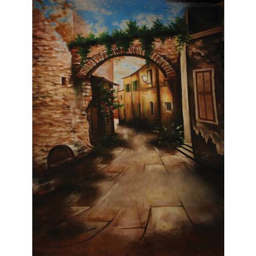 Life Magic Box background for the photo country house photophone studio backdrop S-1734