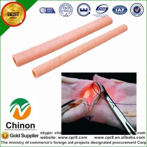 Chinon Intestinal Bowel Canal Anastomy Training Model Medicine Student Medical Science Teaching SourceS Supply BIX-LV7