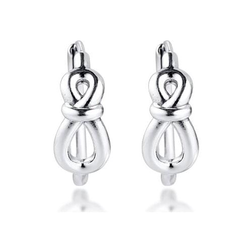 Infinity Knot Hoop Earrings for Women 925 Sterling Silver Earrings Jewelry Crystal Women Earrings Fine