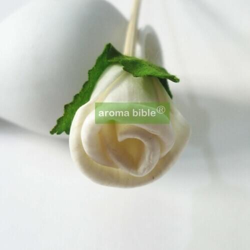 500 pcs /lot Sola Flowers Natural White Fragrance Flower Diffusers With 25cm rattan diffuser