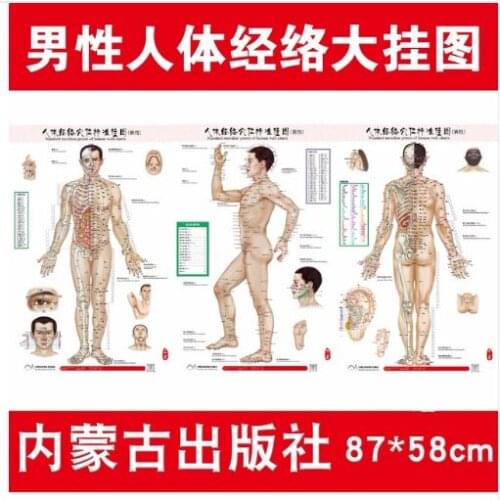 7pcs/3pcs chart of meridian acupuncture point health therapy Massage holographic acupoints Medical Scrapping in Chinese-English