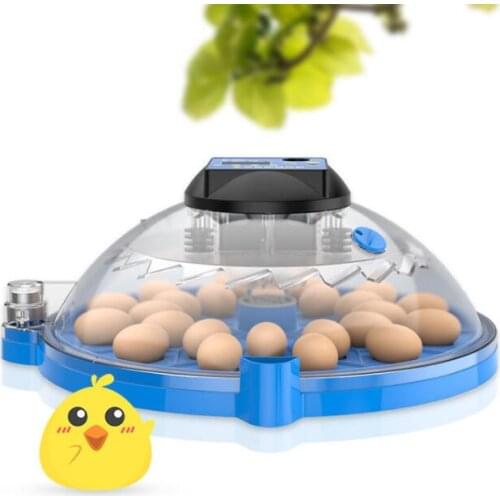 9/12/16/24/36/48 cps Incubator household incubator Smart parrot bird egg incubator LCD display 12V/240V