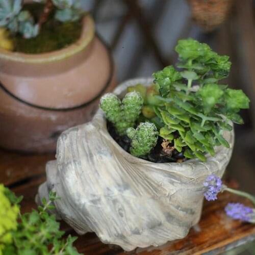 Juhan Whelk Pottery Soil Culture Antique Making Old Gift Decoration Garden Flowerpot Polygonal Retro Conch Esthetical