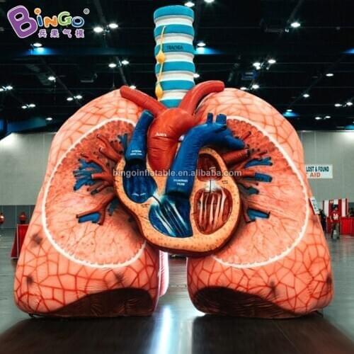 Customized 4x3.5x4.5 meters inflatable giant lung / large inflatable lungs model for decoration toys