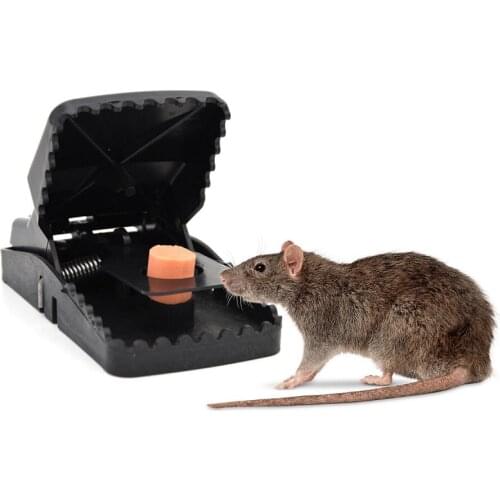 1/3/5Pcs Reusable Powerful Rodent Killer Mouse Trap Mole Repeller Mice Rat Trap Control Mousetrap Bait Pest Catching