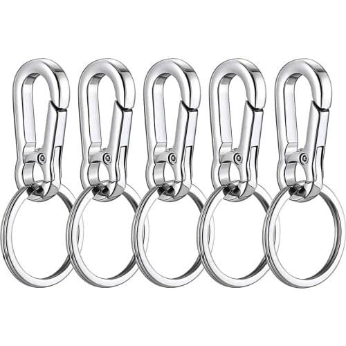 Silver Metal Carabiner Clip Keychain Key Ring Chain Holder Organizer for Car/Key Purse Hardware Dog ID Tag Holder Harnesses