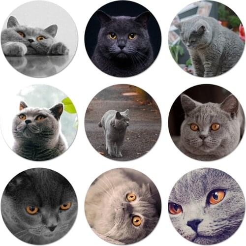 Cute british shorthair cat Icons Pins Badge Decoration Brooches Metal Badges For Clothes Backpack Decoration