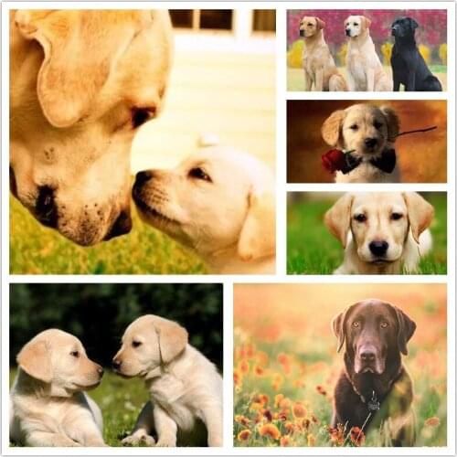 Diamond Mosaic Dog Lacquer And Diamond Cross Stitch Labrador Dog Diamond Painting Embroidery Full Display Animal Pictures