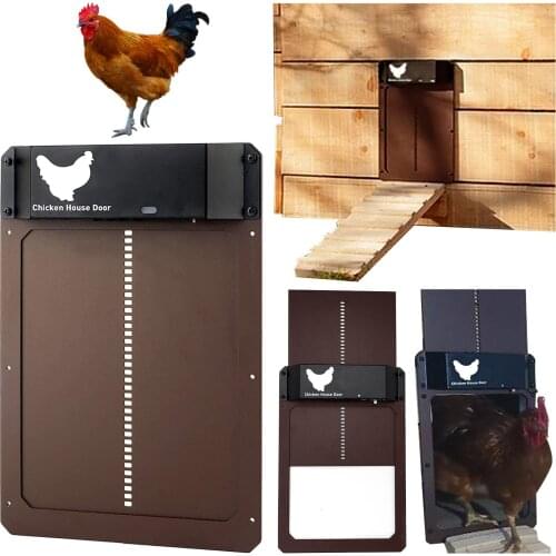 ISHOWTIENDA Goods For Pets