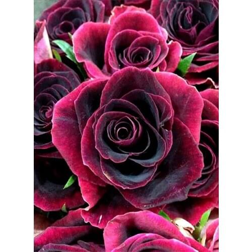 5D Diy Diamond Painting Cross Ctitch Kits Diamond Embroidery Cross Stitch Home Decoration Painting home decor label