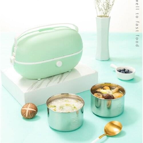 Portable Electric Heating Stainless Steel Lunch Box 110V 220V Steamer Rice Cooker Home Office Car Rice Box Food Warmer Container