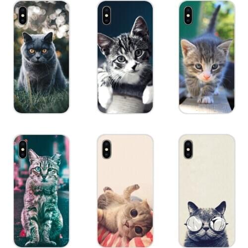 Cat Cute Cats Dog Accessories Phone Cases Covers For Samsung Galaxy J1 J2 J3 J4 J5 J6 J7 J8 Plus 2018 Prime 2015 2016 2017