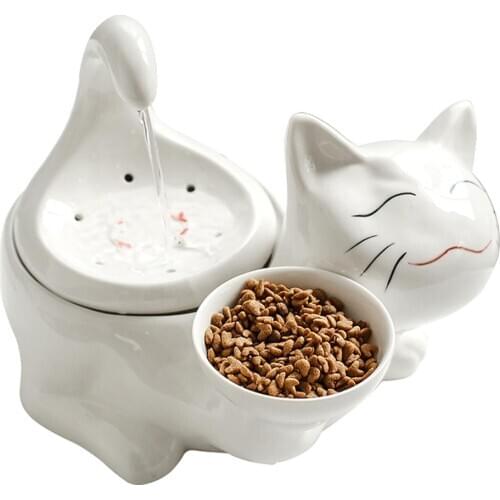 2L 360 Ceramic Pet Water Dispenser Advanced Cat Water Drinking Fountain Bowl with Replacement Filters and Foam for Cat and Dogs