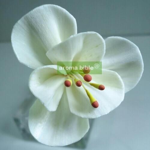 1000 pcs /lot Handmade sola wood flowers for fragrance diffuser and home decor with 12cm Rope or rattan reed sticks Top quality