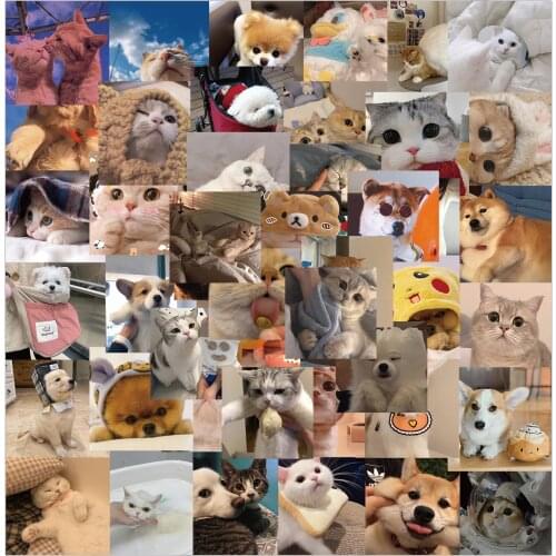 48PCS Kawaii Cat Dog Meme Stickers Decal For Cute Cartoons Animal Sticker to DIY Suitcase Stationery Fridge Water Bottle Guitar