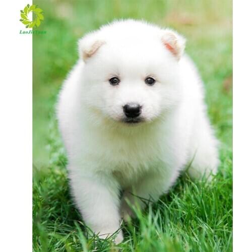 5D Diy Full Drill Diamond Painting Colorful dog animal Embroidery Decoration Cross stitch rhinestones moaic,Gift Home Decor