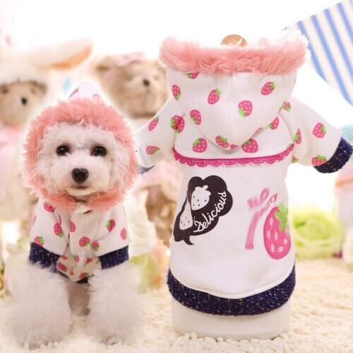 Printed Cartoon Dog Sweater Warm Cotton Strawberry Pattern Hooded Pet Coat Puppy Cat Clothes Jacket Pets Apparel For Small Dogs
