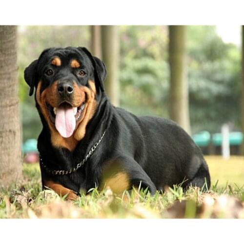 Needlework 3D diamond embroidery full resin picture home decor mosaic diy diamond painting Butterfly,dream catcher New year gift