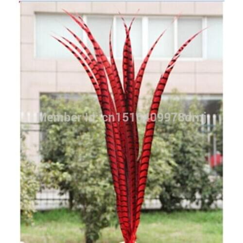 50 pcs red color pheasant tail feather 90-100 CM 36-40 inch lateral tail markings Wittenbuik chicken feathers